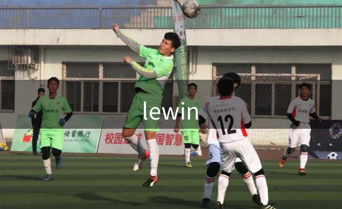 lewin品牌故事